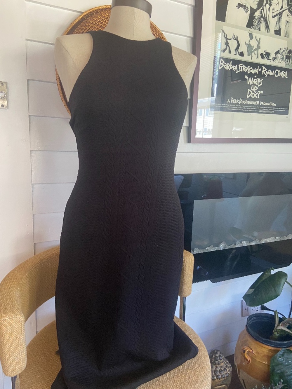 Express Bodycon Dress